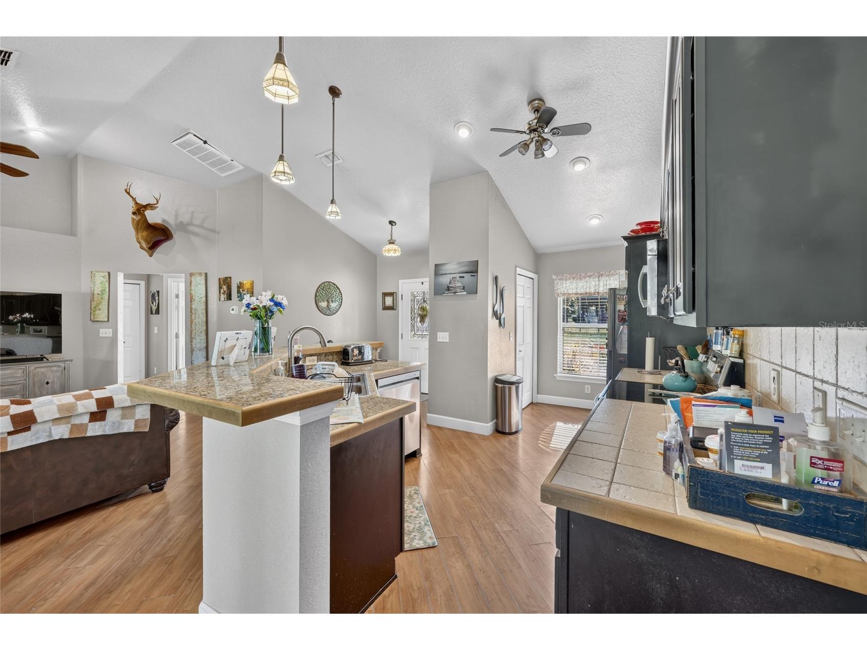 13930 NE 41st Terrace Anthony FL 32617 OM727859 image11