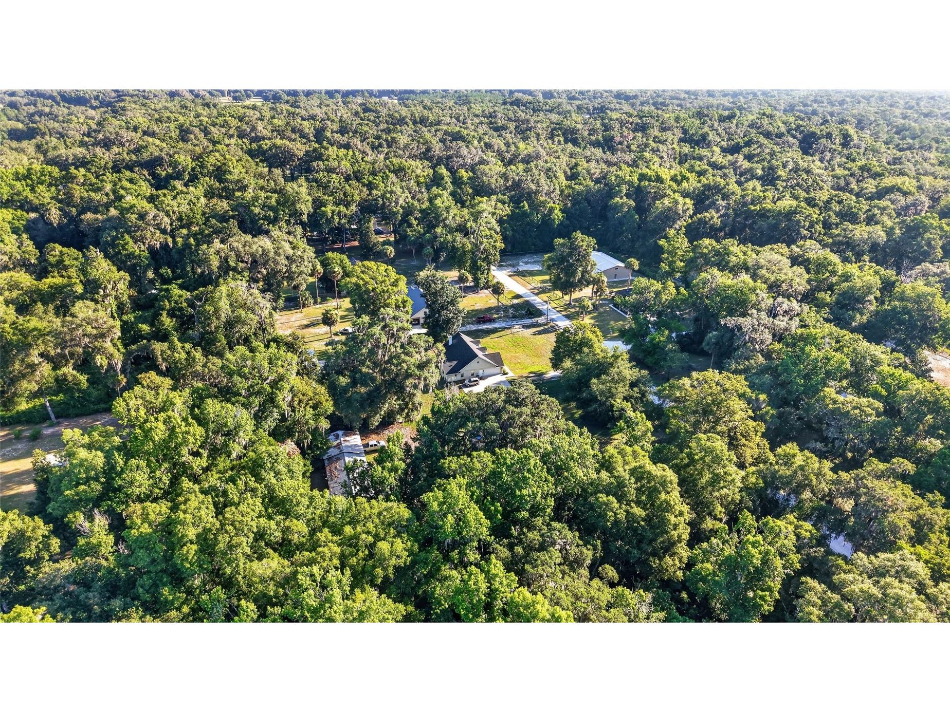 13930 NE 41st Terrace Anthony FL 32617 OM727859 image48