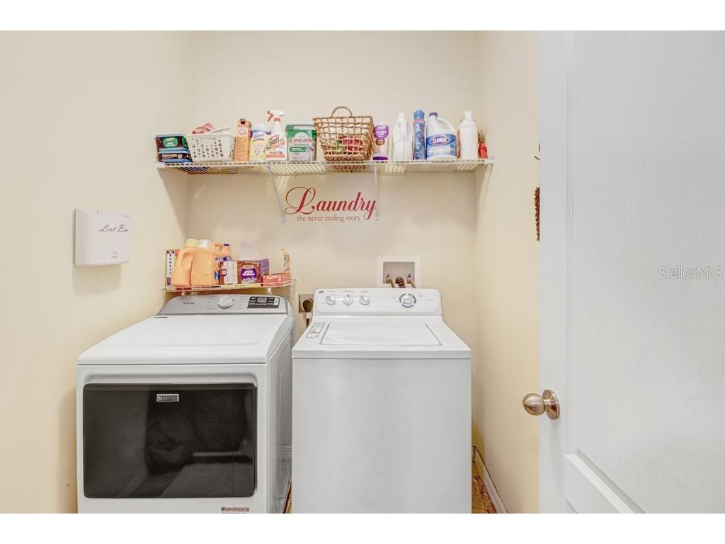 13931 Felix Will Road Riverview FL 33579 TB8516514 image9