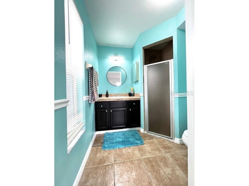 13932 Huntwick Drive Orlando FL 32837 S5147215 image21