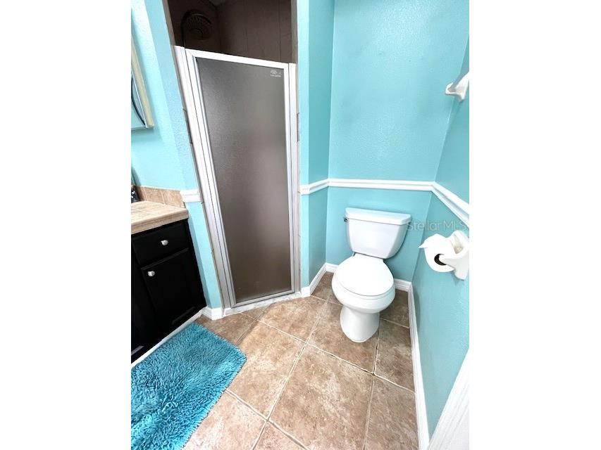 13932 Huntwick Drive Orlando FL 32837 S5147215 image22