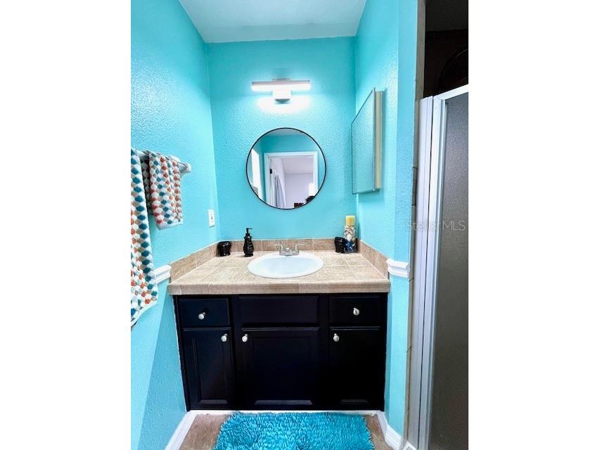 13932 Huntwick Drive Orlando FL 32837 S5147215 image23