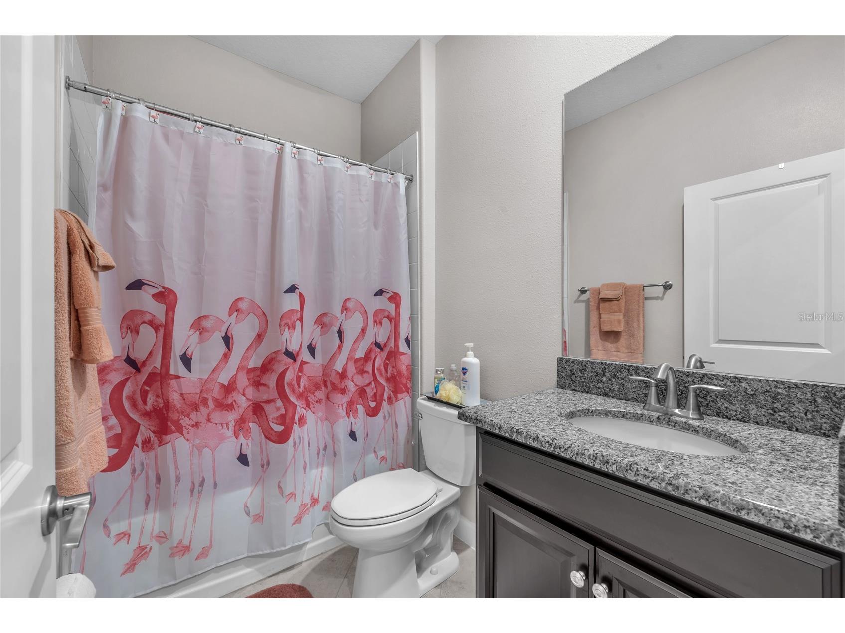 13932 Painted Bunting Ln Riverview FL 33579 TB8493155 image24