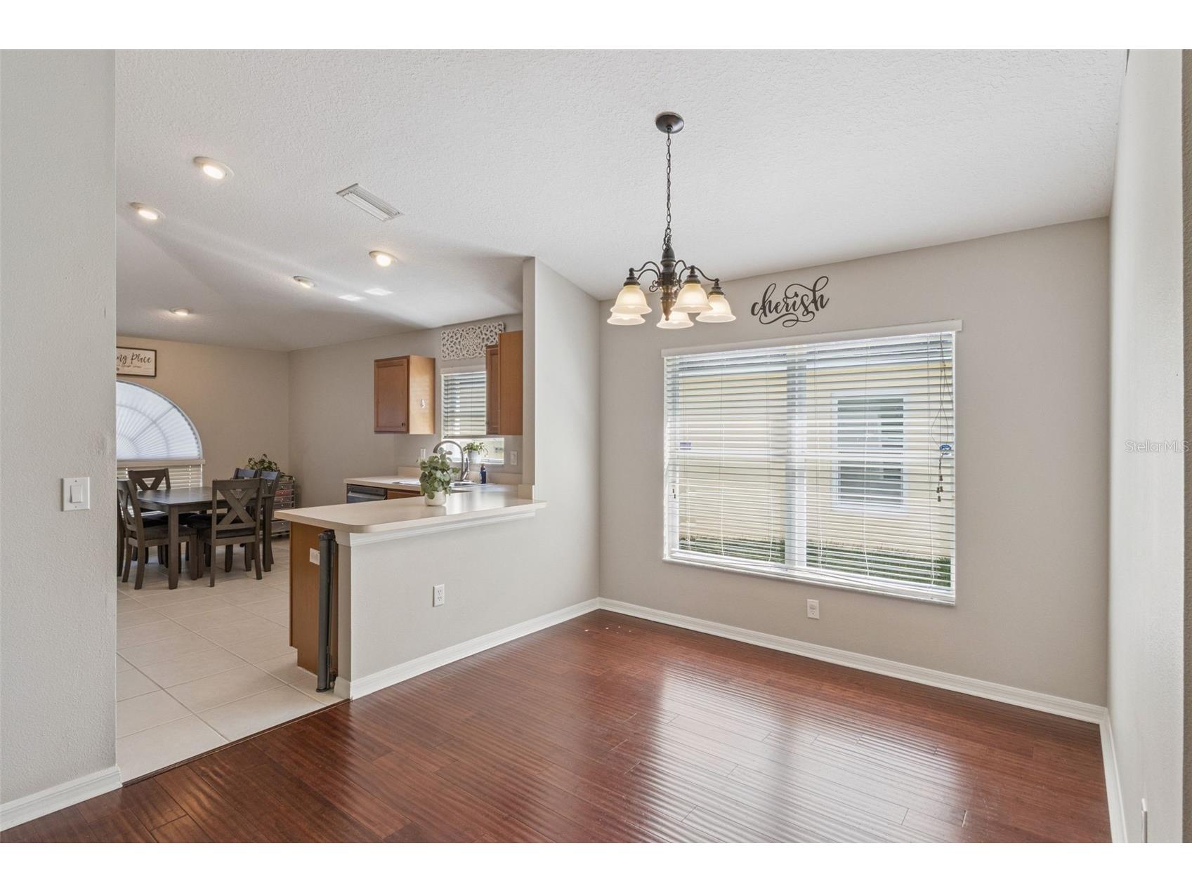13933 Chalk Hill Place Riverview FL 33579 O6418411 image14