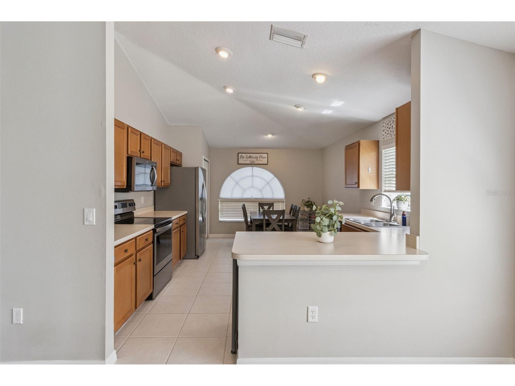 13933 Chalk Hill Place Riverview FL 33579 O6418411 image21