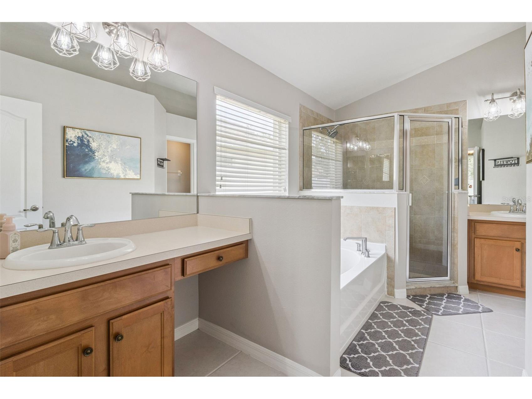 13933 Chalk Hill Place Riverview FL 33579 O6418411 image30