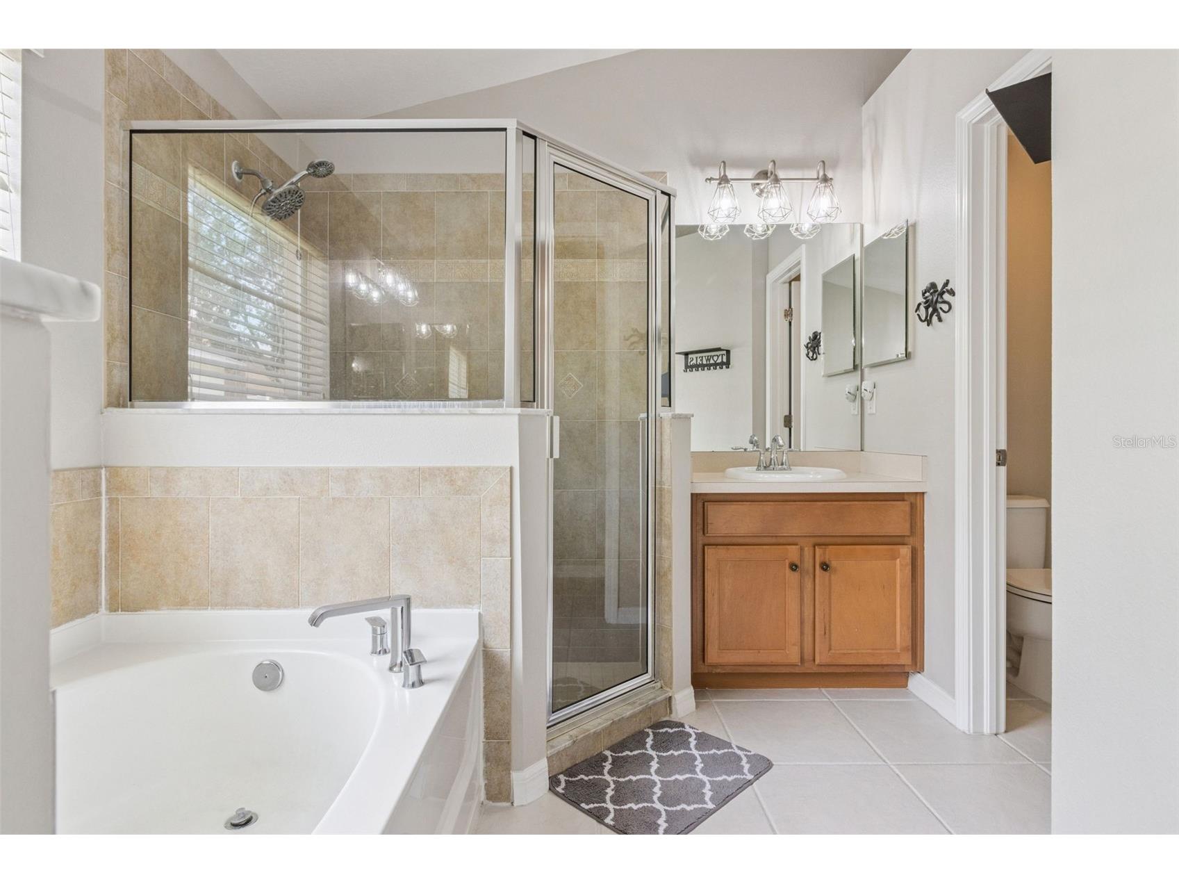 13933 Chalk Hill Place Riverview FL 33579 O6418411 image31