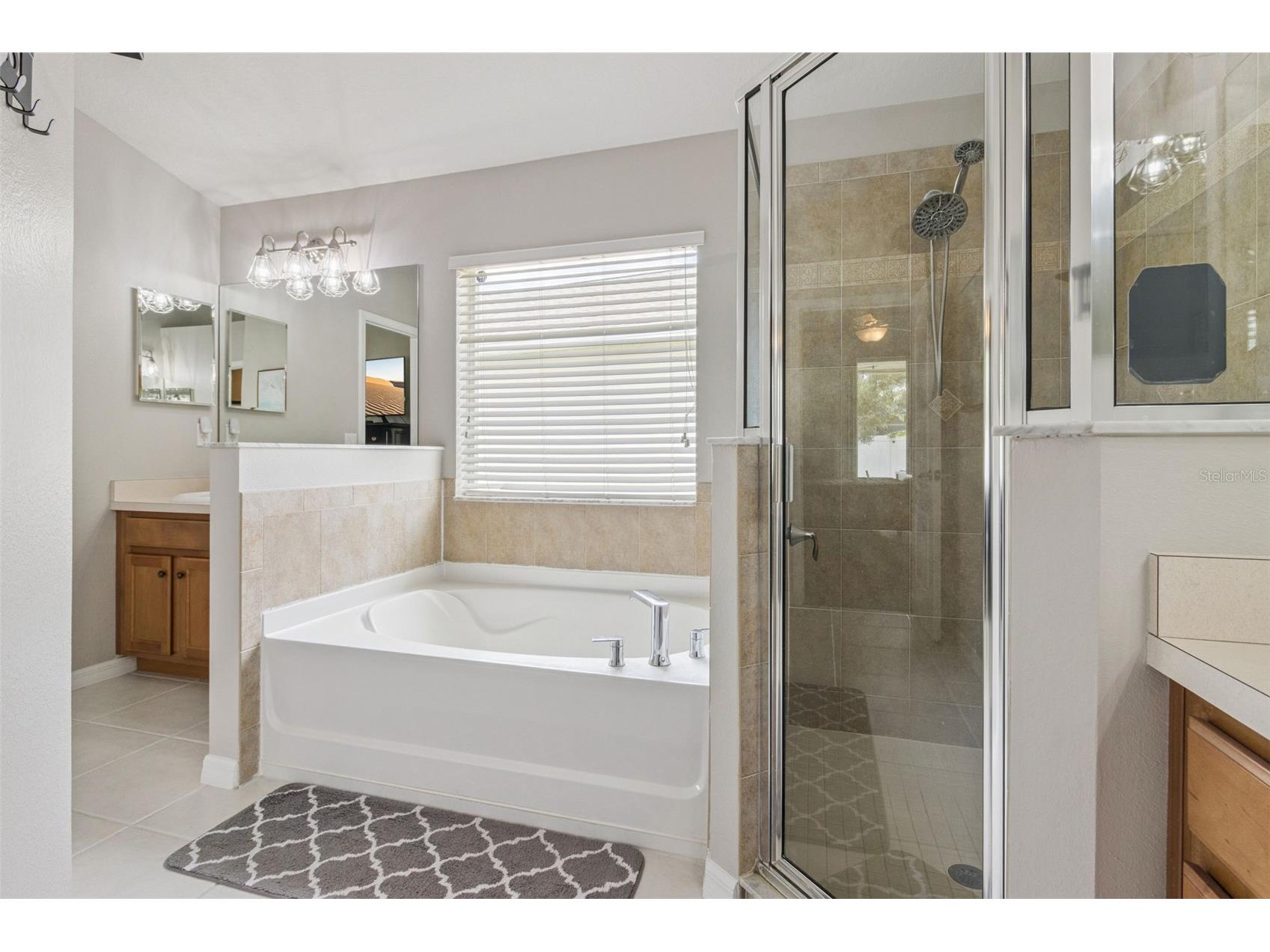 13933 Chalk Hill Place Riverview FL 33579 O6418411 image32