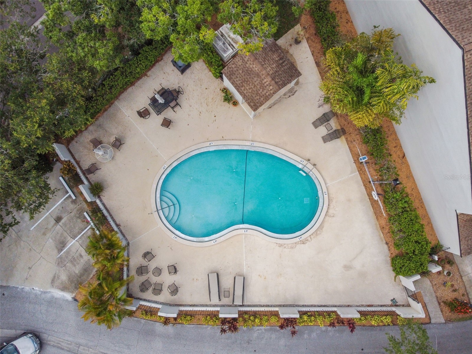 13934 Clubhouse Circle #8 Tampa FL 33618 TB8497813 image50