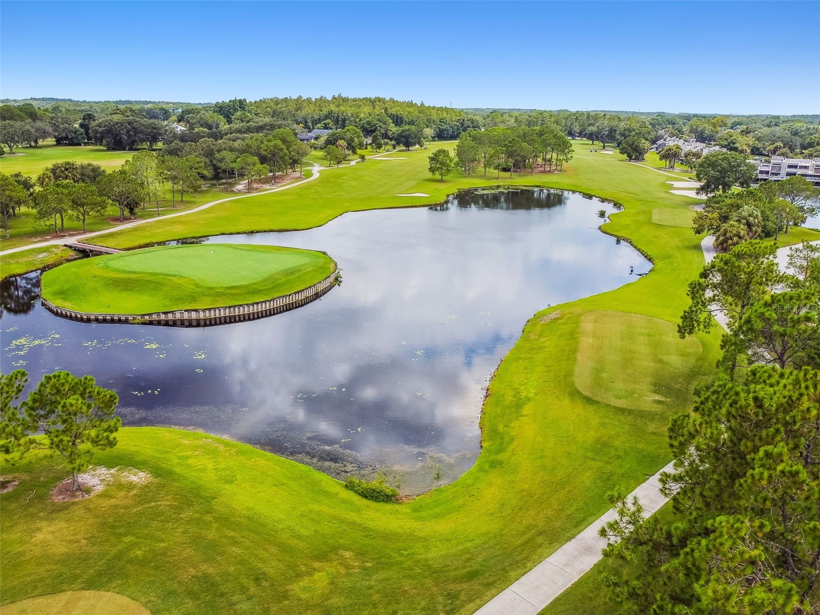13934 Clubhouse Circle #8 Tampa FL 33618 TB8497813 image56