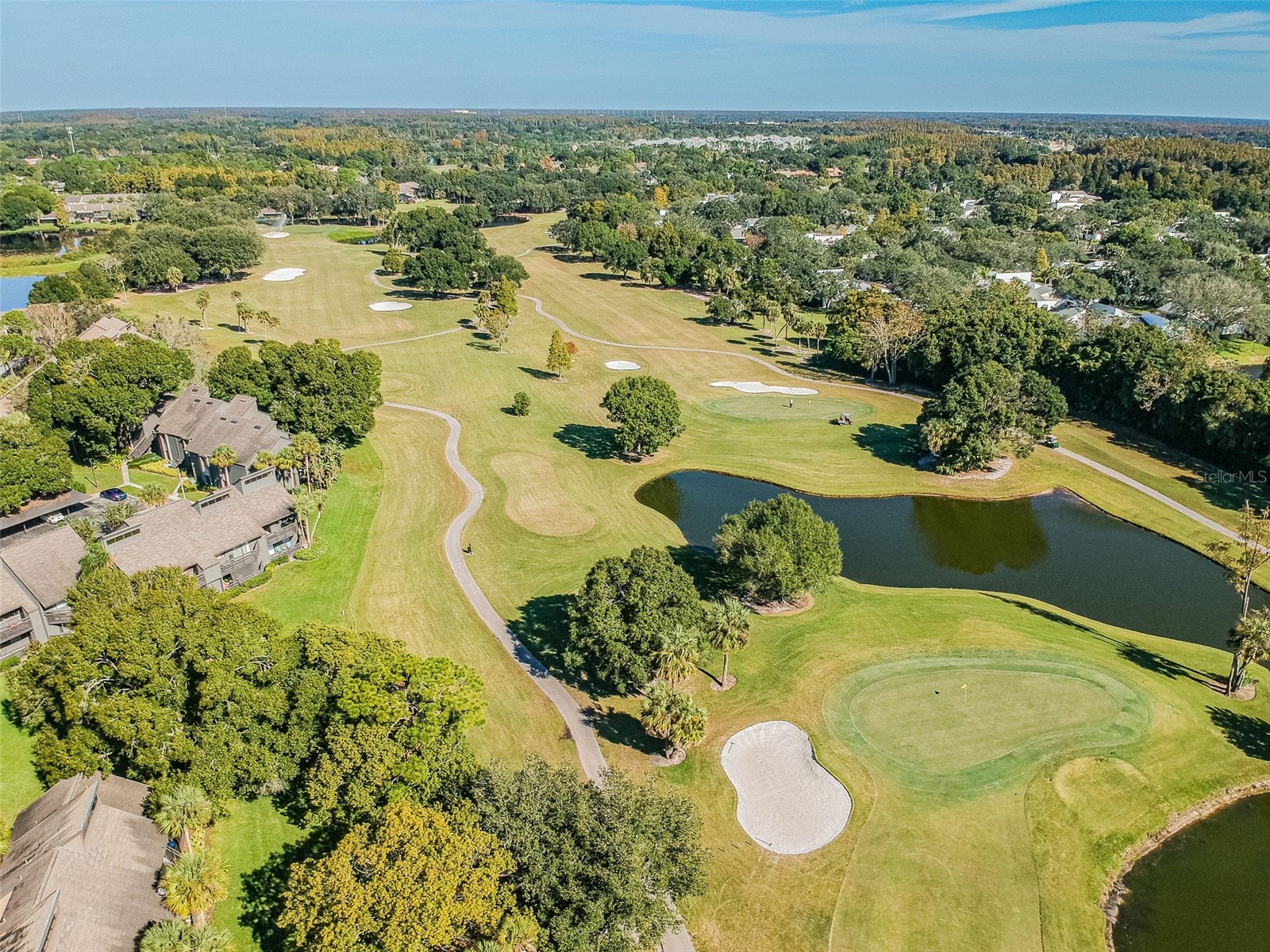 13934 Clubhouse Circle #8 Tampa FL 33618 TB8497813 image57