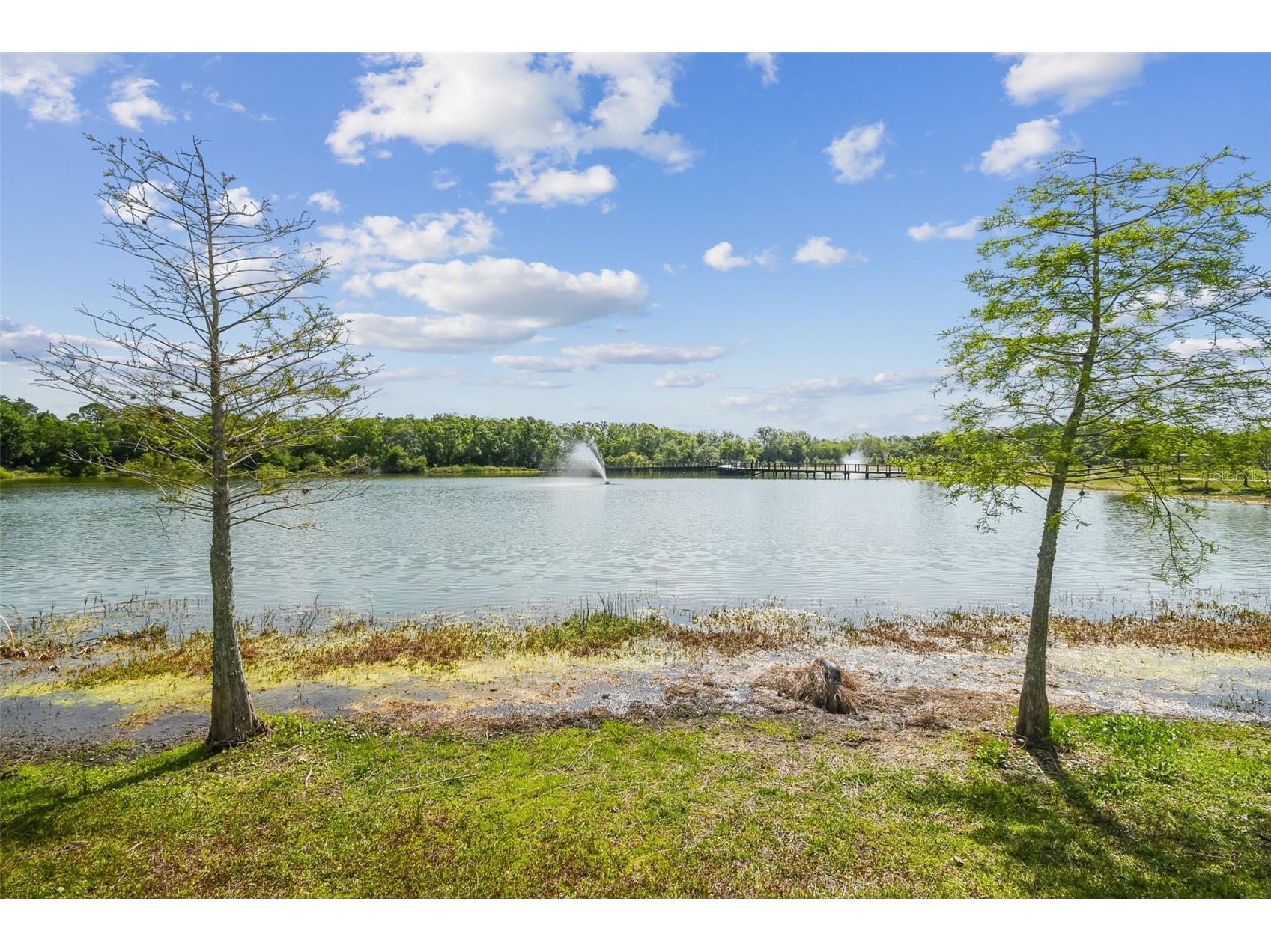 13934 Clubhouse Circle #8 Tampa FL 33618 TB8497813 image58
