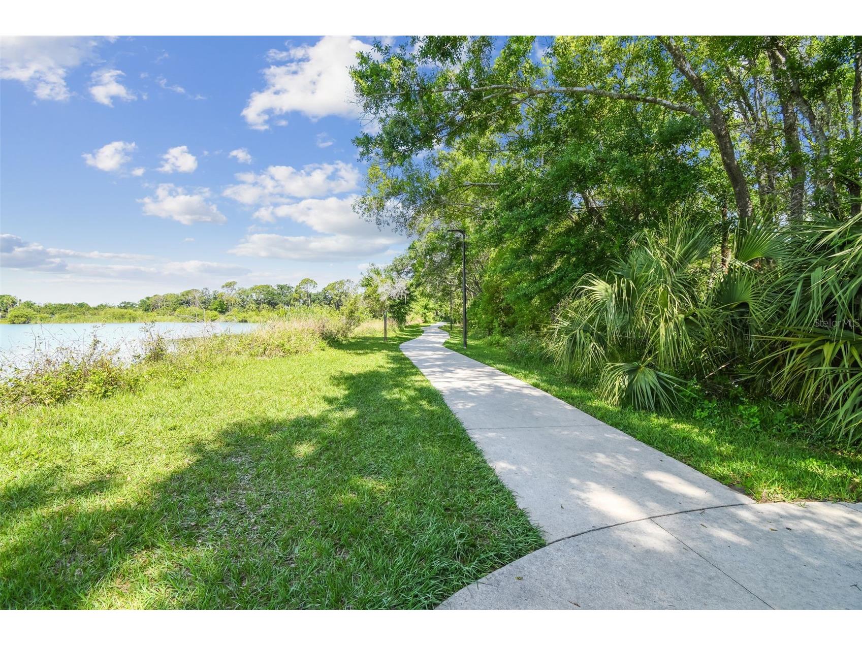 13934 Clubhouse Circle #8 Tampa FL 33618 TB8497813 image60