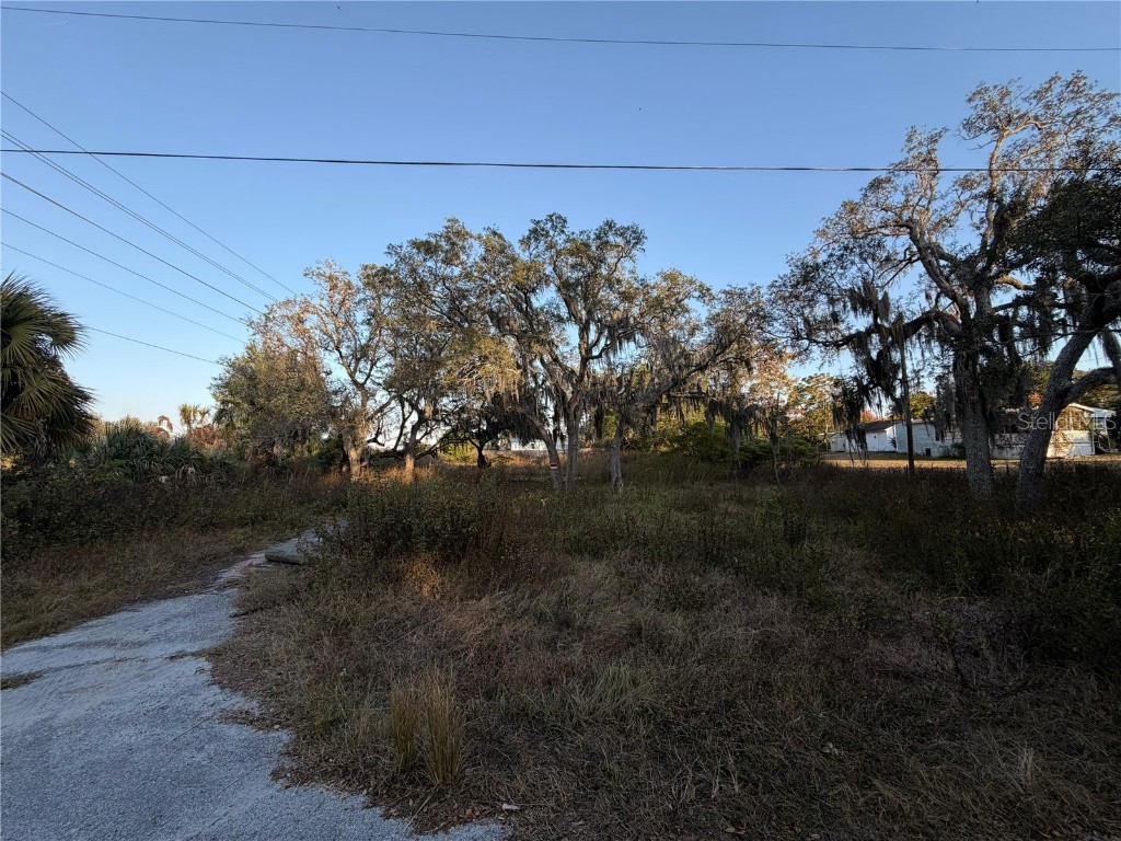 13934 Litewood Drive Hudson FL 34669 TB8452721 image3