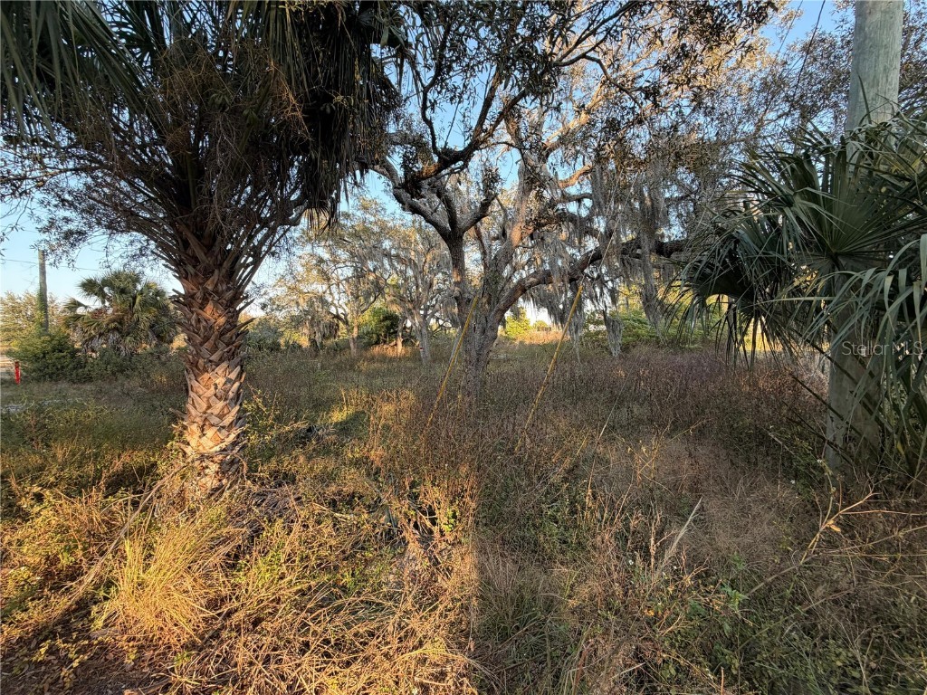 13934 Litewood Drive Hudson FL 34669 TB8452721 image6