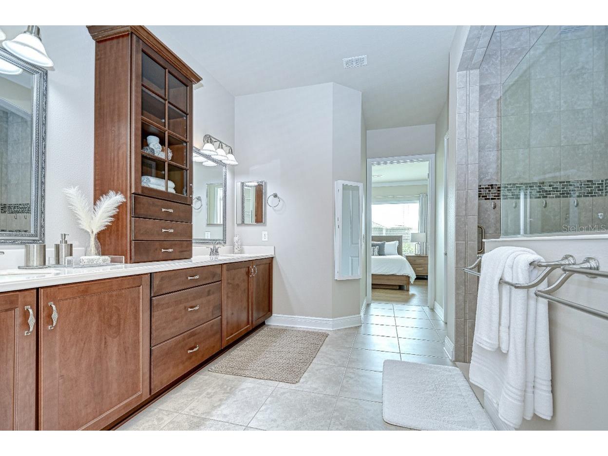 13937 Swallow Hill Drive Lithia FL 33547 TB8421865 image16