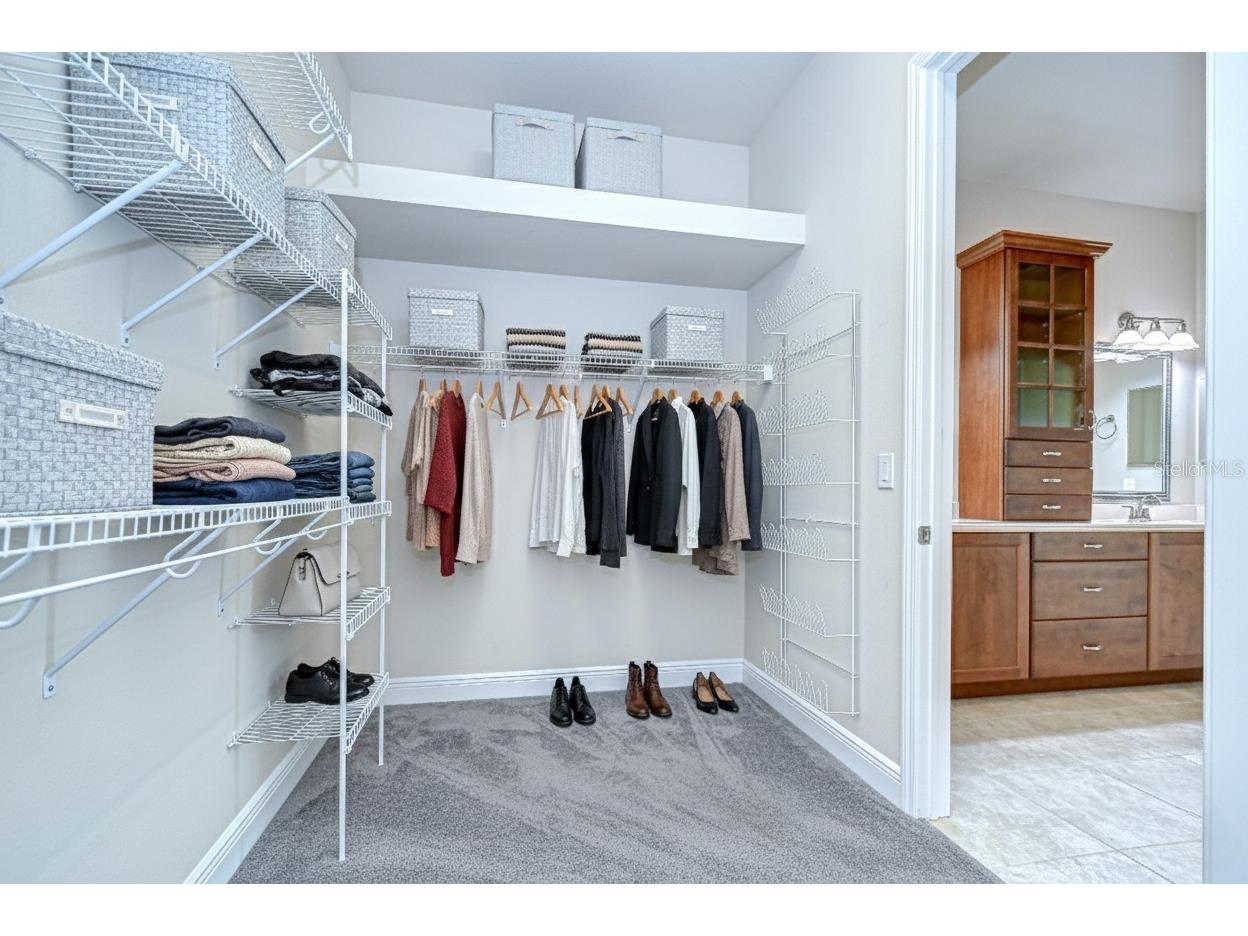 13937 Swallow Hill Drive Lithia FL 33547 TB8421865 image18