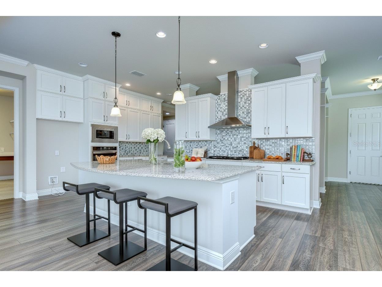 13937 Swallow Hill Drive Lithia FL 33547 TB8421865 image5