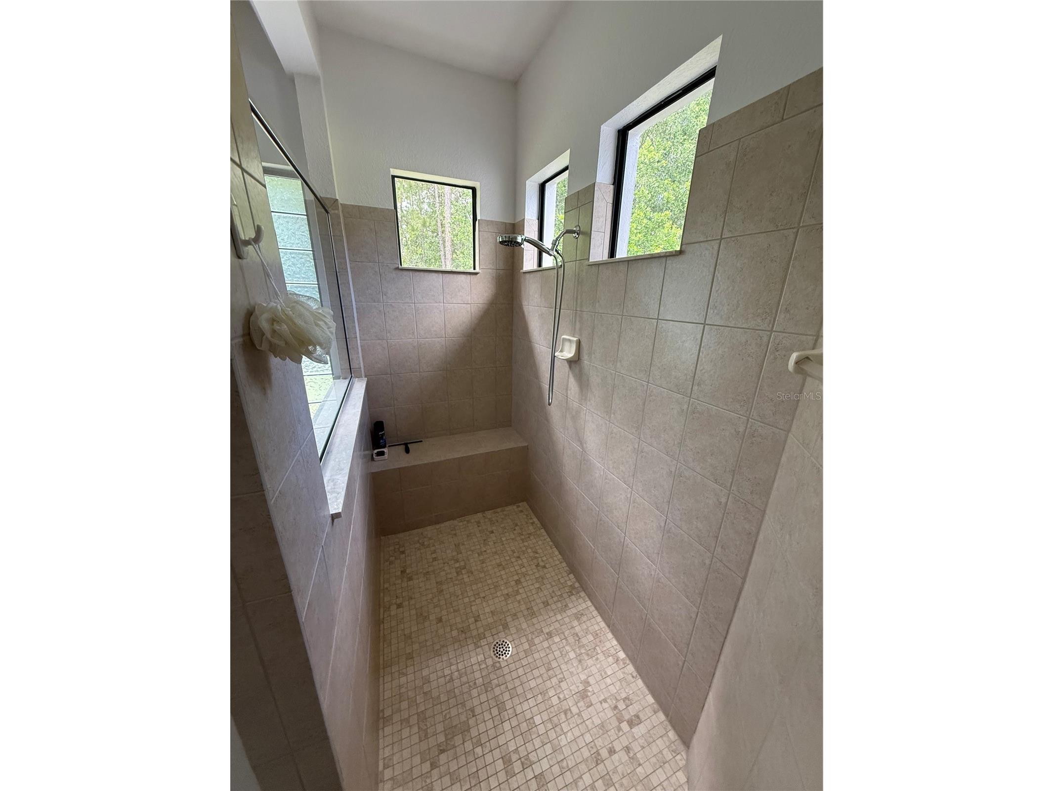 13938 Arbor Glen Court Orlando FL 32832 O6399573 image21