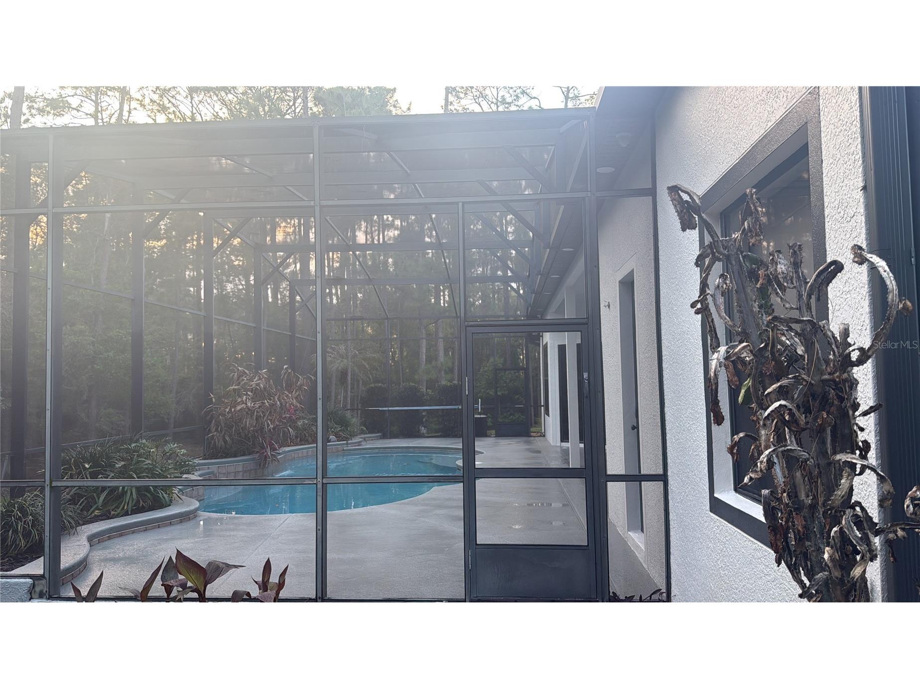 13938 Arbor Glen Court Orlando FL 32832 O6399573 image22