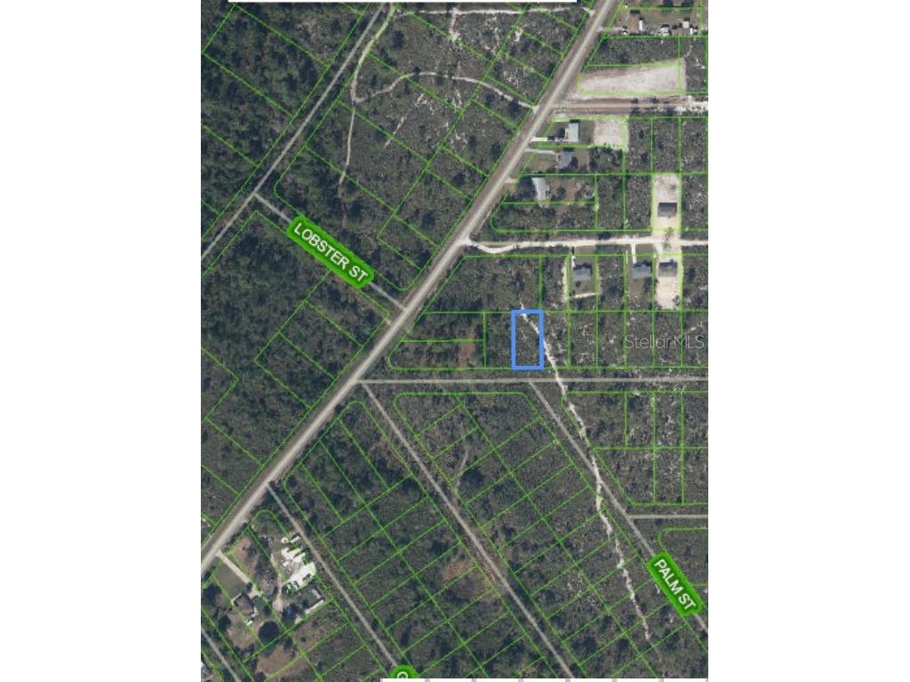 1394 Goldfinch Street Lake Placid FL 33852 O6207336 image1