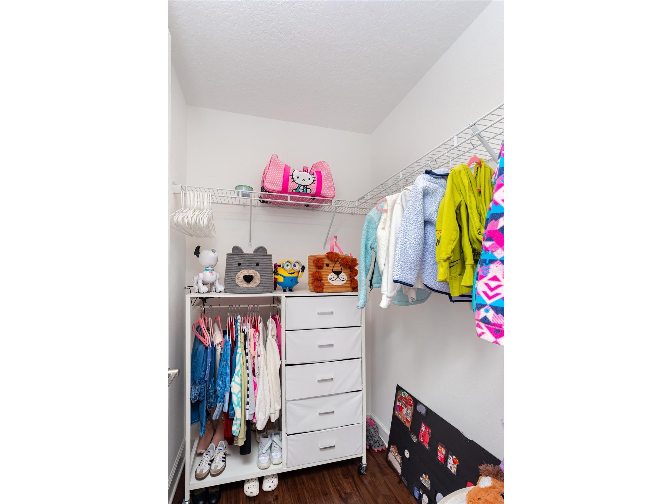 1394 Olympic Club Boulevard Champions Gate FL 33896 S5152689 image43