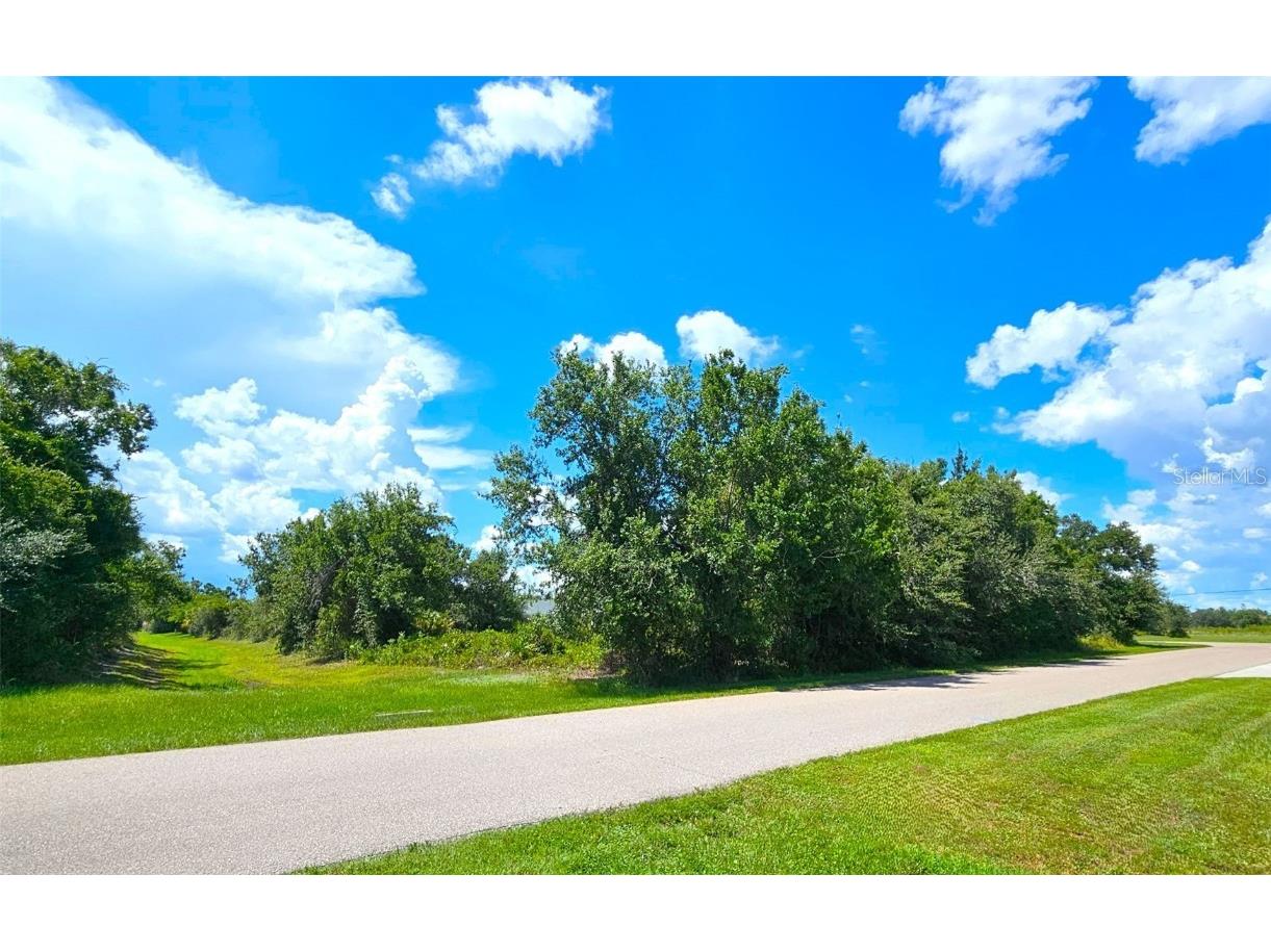 1394 Saxony Circle Punta Gorda FL 33983 C7512890 image5