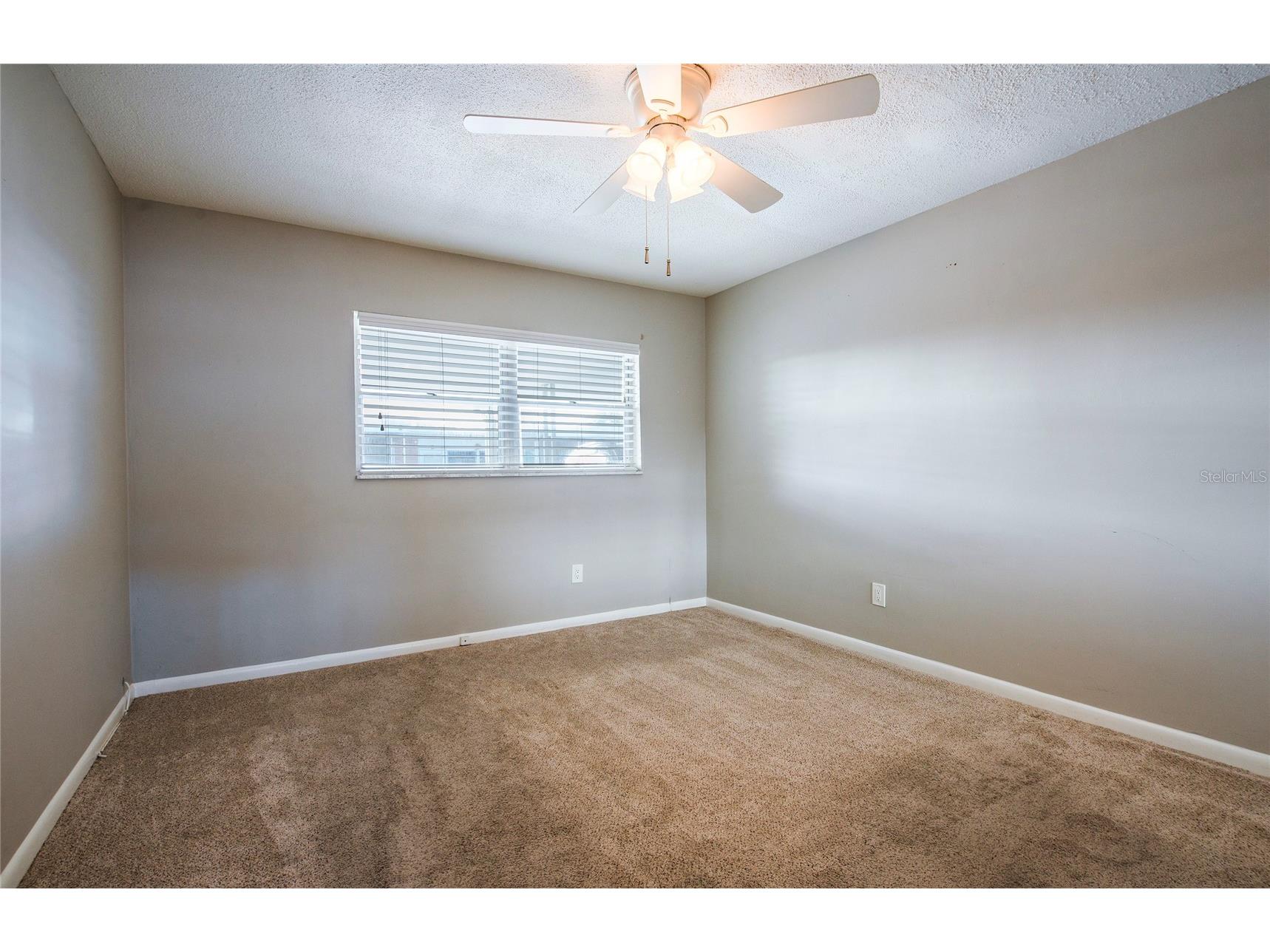 13940 Anona Heights Drive #6 Largo FL 33774 TB8505957 image21