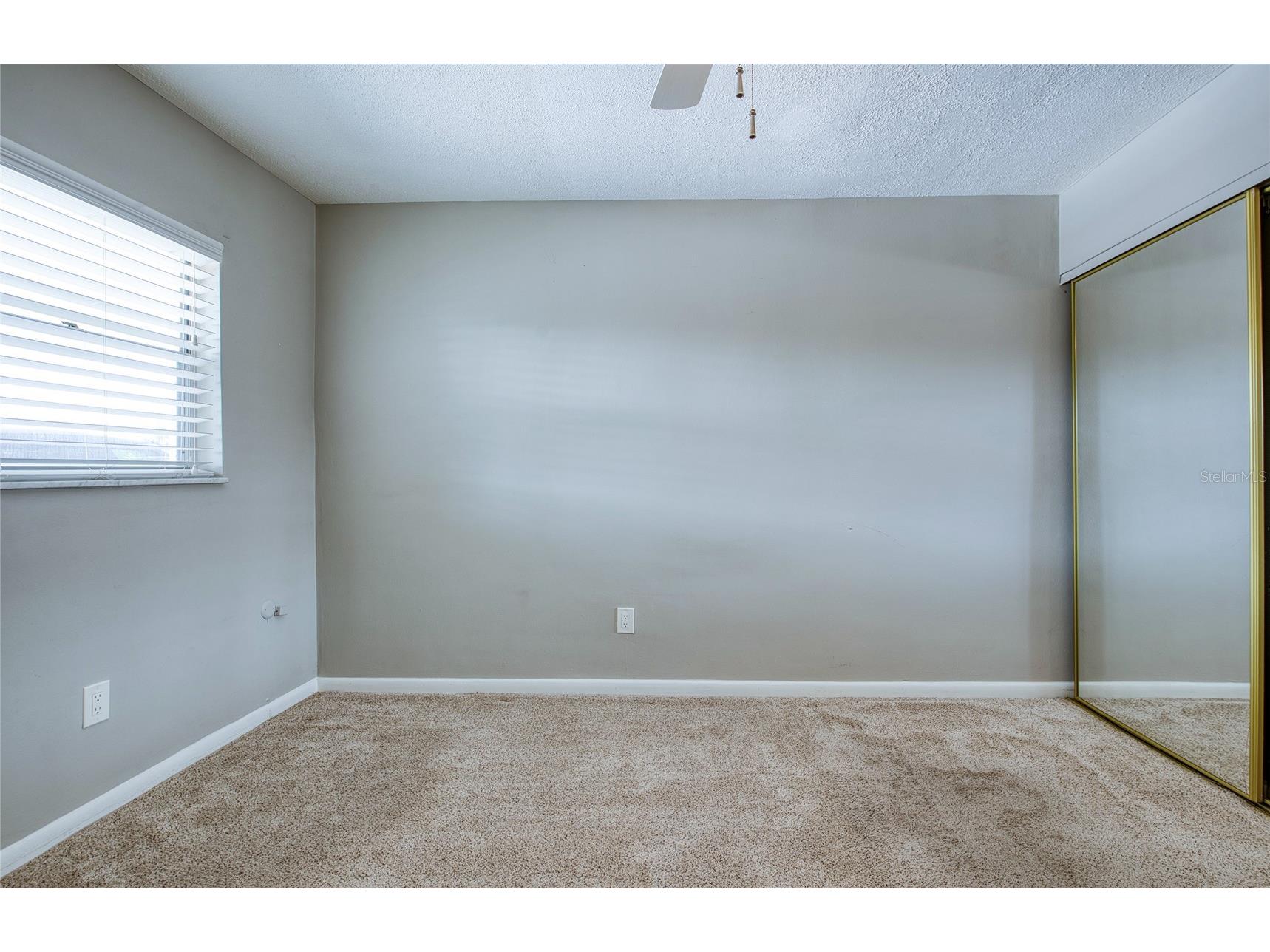 13940 Anona Heights Drive #6 Largo FL 33774 TB8505957 image22