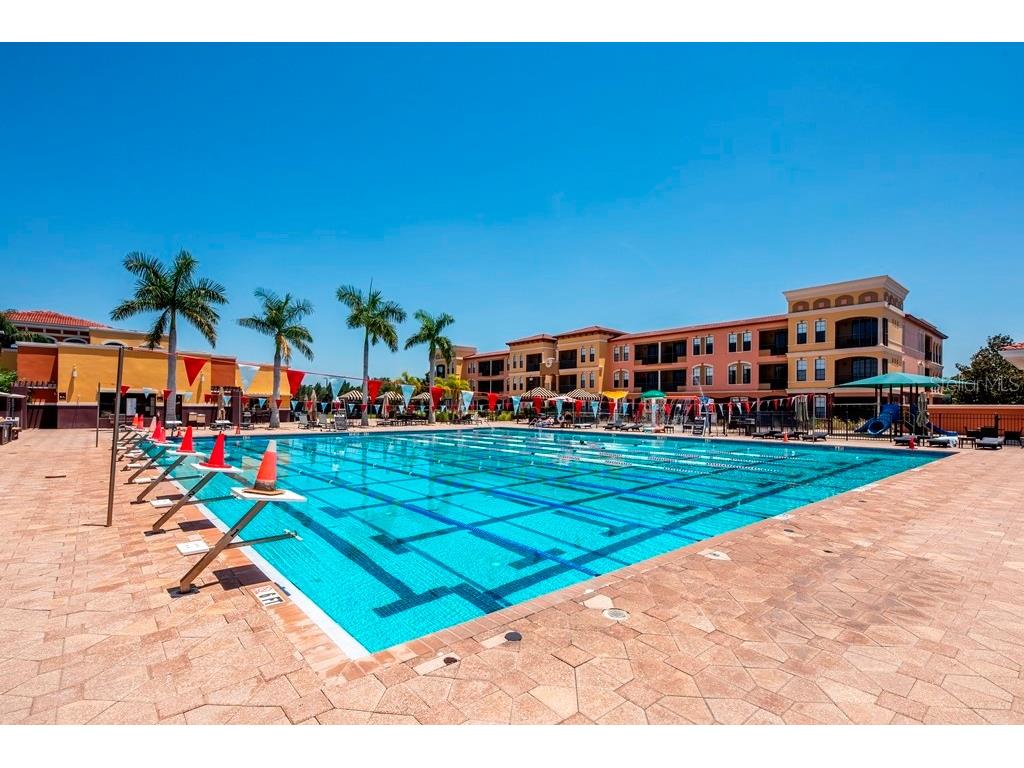 13941 Clubhouse Dr #315 Tampa FL 33618 TB8505481 image26