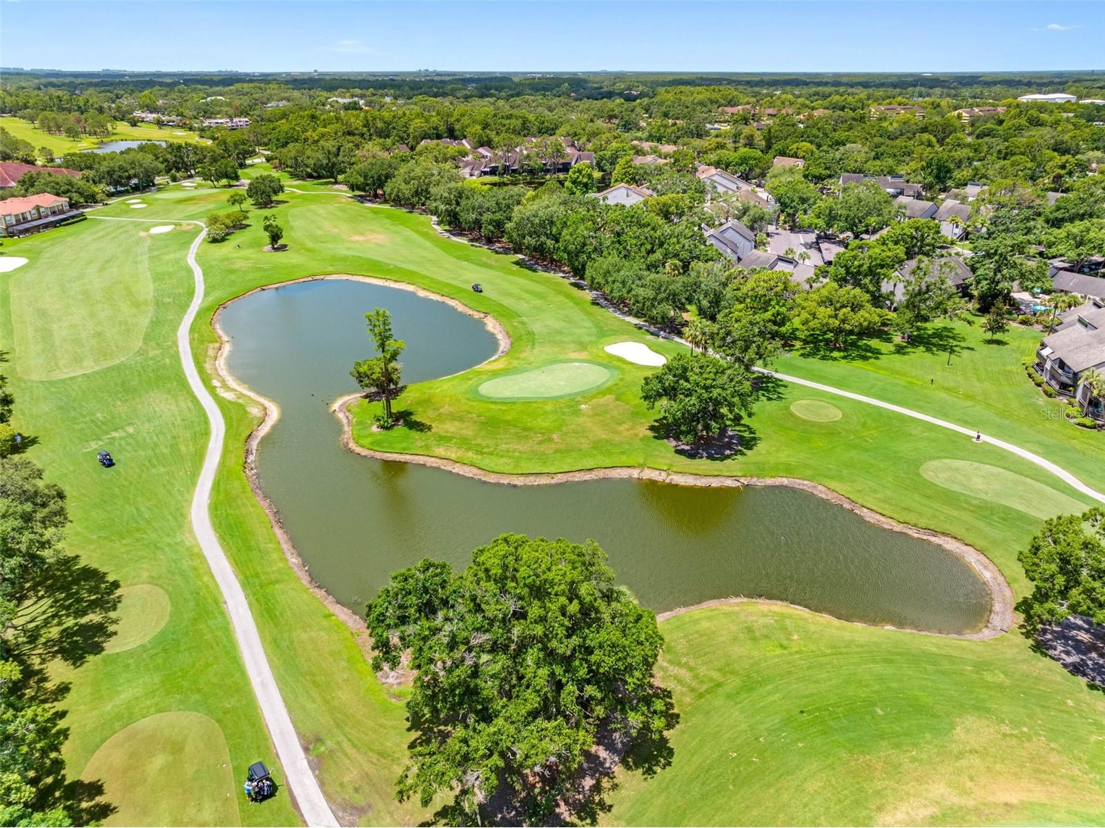 13941 Clubhouse Dr #315 Tampa FL 33618 TB8505481 image33
