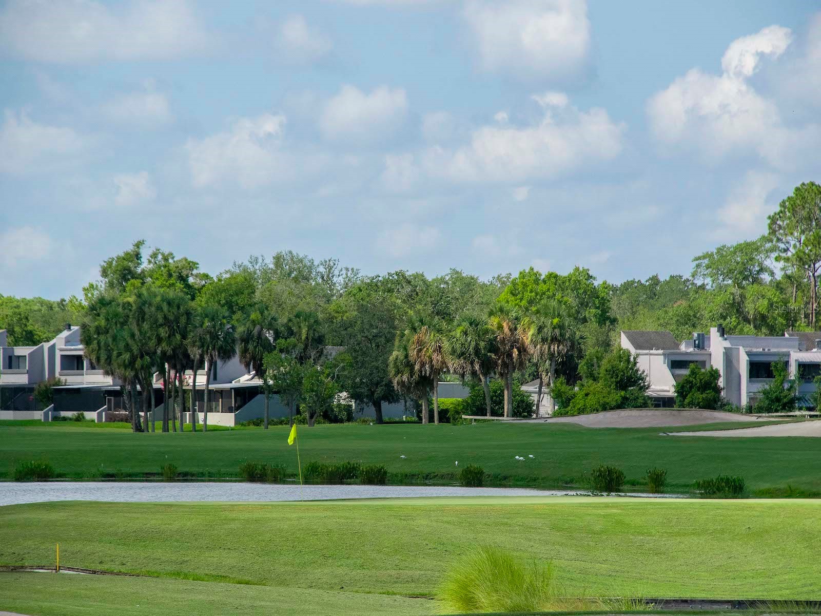13941 Clubhouse Dr #315 Tampa FL 33618 TB8505481 image39