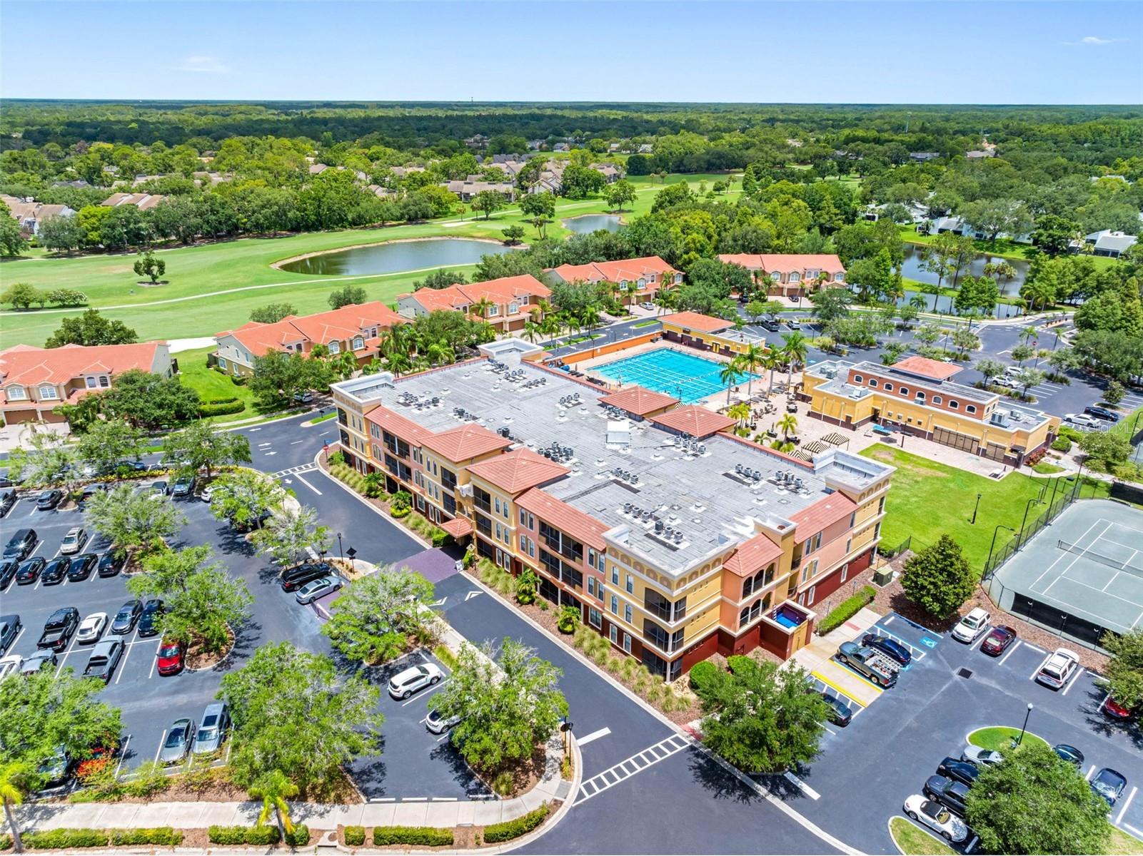 13941 Clubhouse Dr #315 Tampa FL 33618 TB8505481 image43