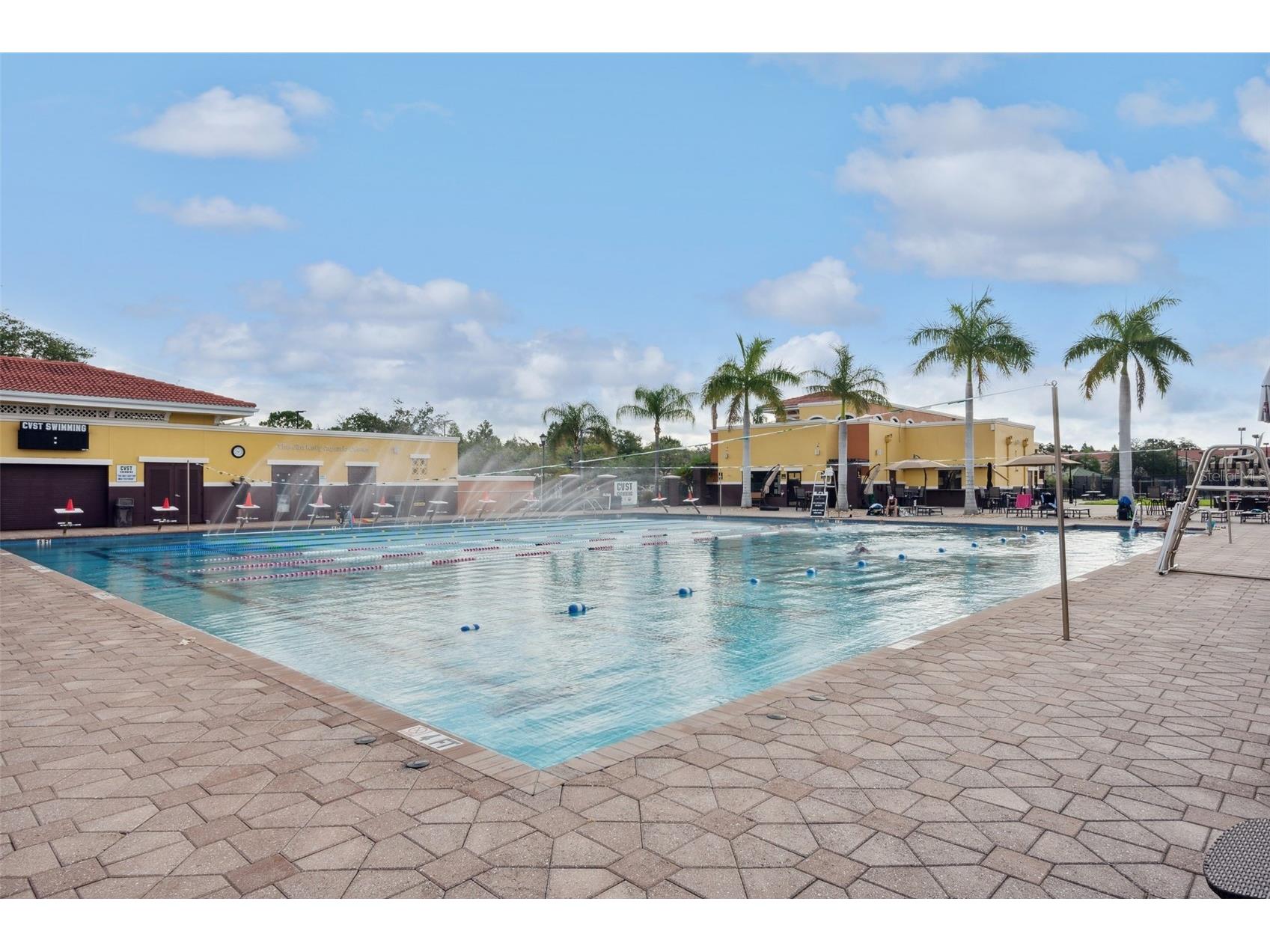 13941 Clubhouse Dr #315 Tampa FL 33618 TB8505481 image68