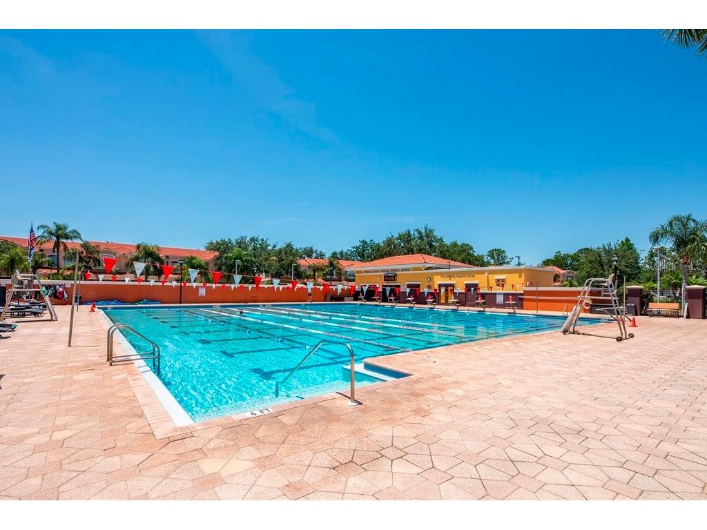 13941 Clubhouse Drive #102 Tampa FL 33618 TB8515512 image34