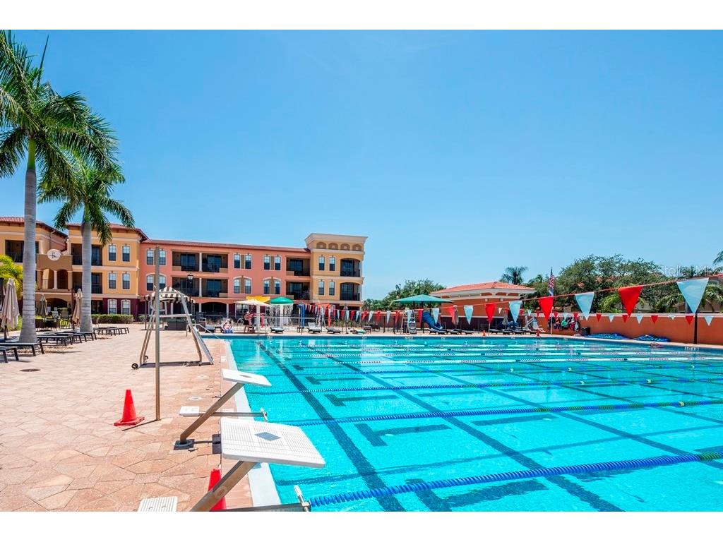 13941 Clubhouse Drive #102 Tampa FL 33618 TB8515512 image35