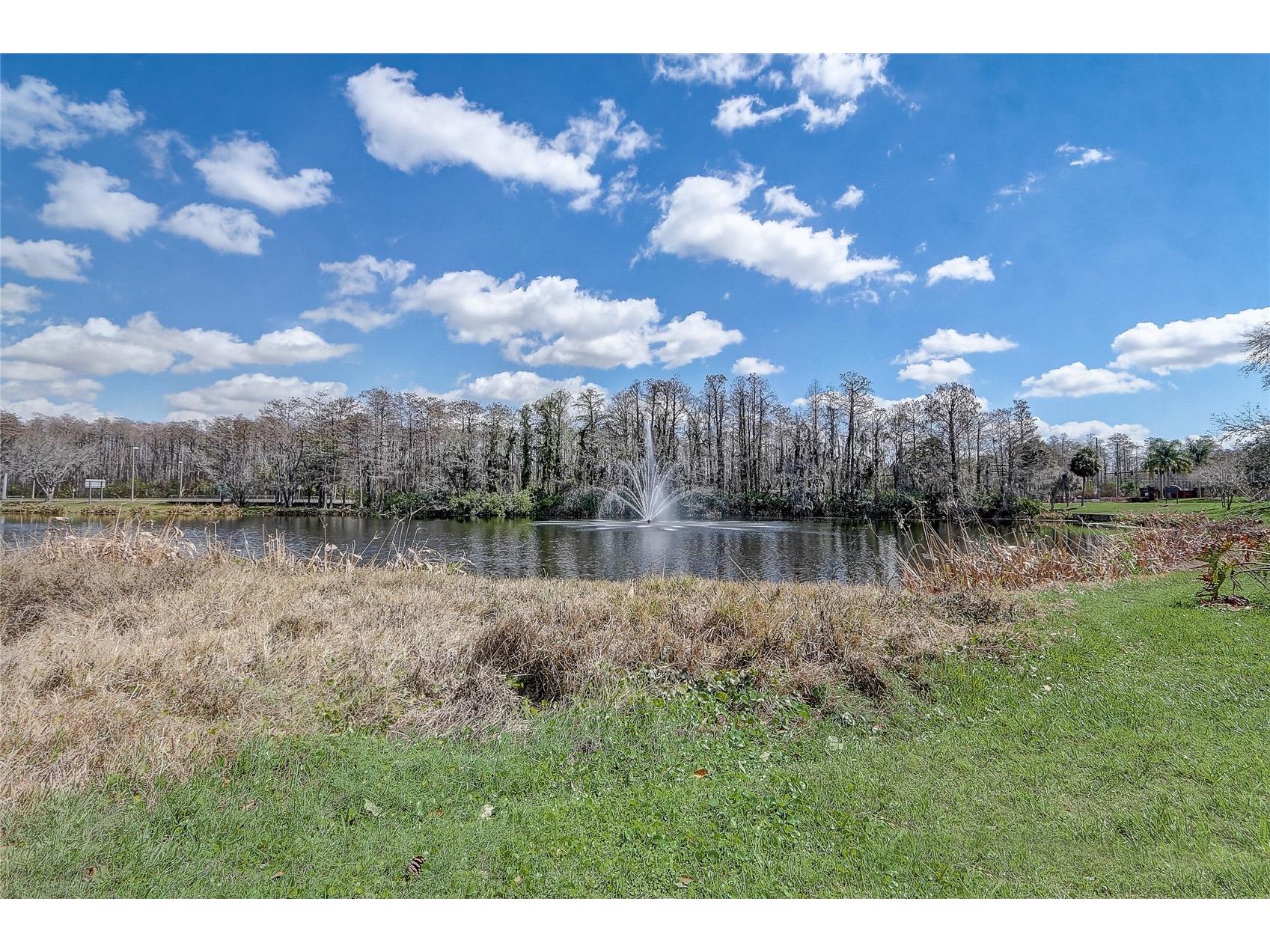 13941 Fairway Island Drive #723 Orlando FL 32837 O6384346 image34