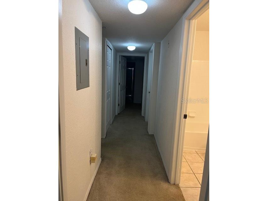 13941 Fairway Island Drive #736 Orlando FL 32837 S5136046 image18