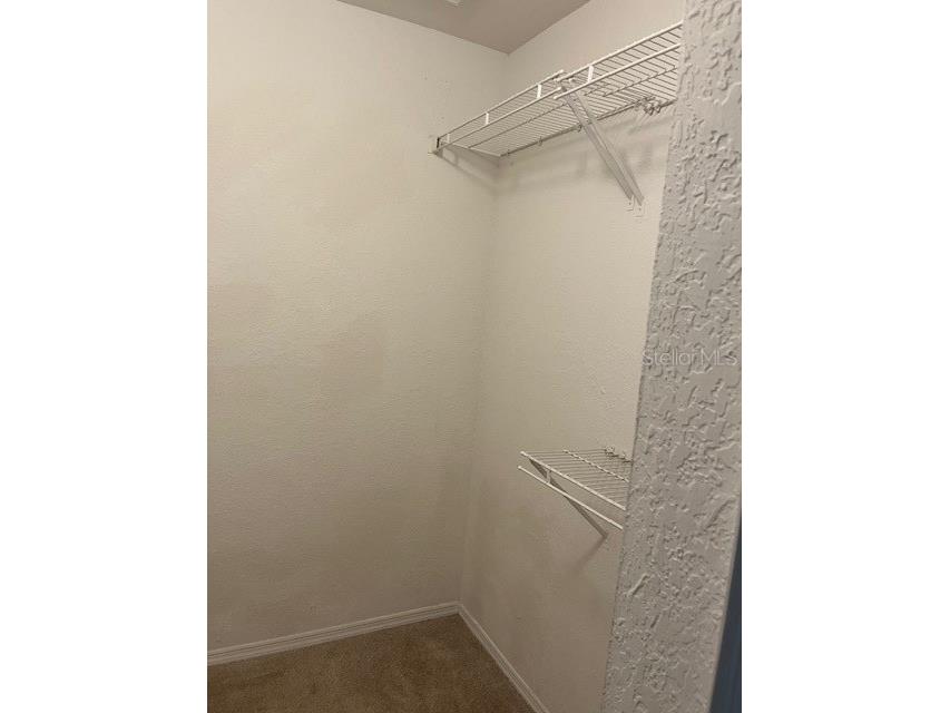 13941 Fairway Island Drive #736 Orlando FL 32837 S5145860 image17