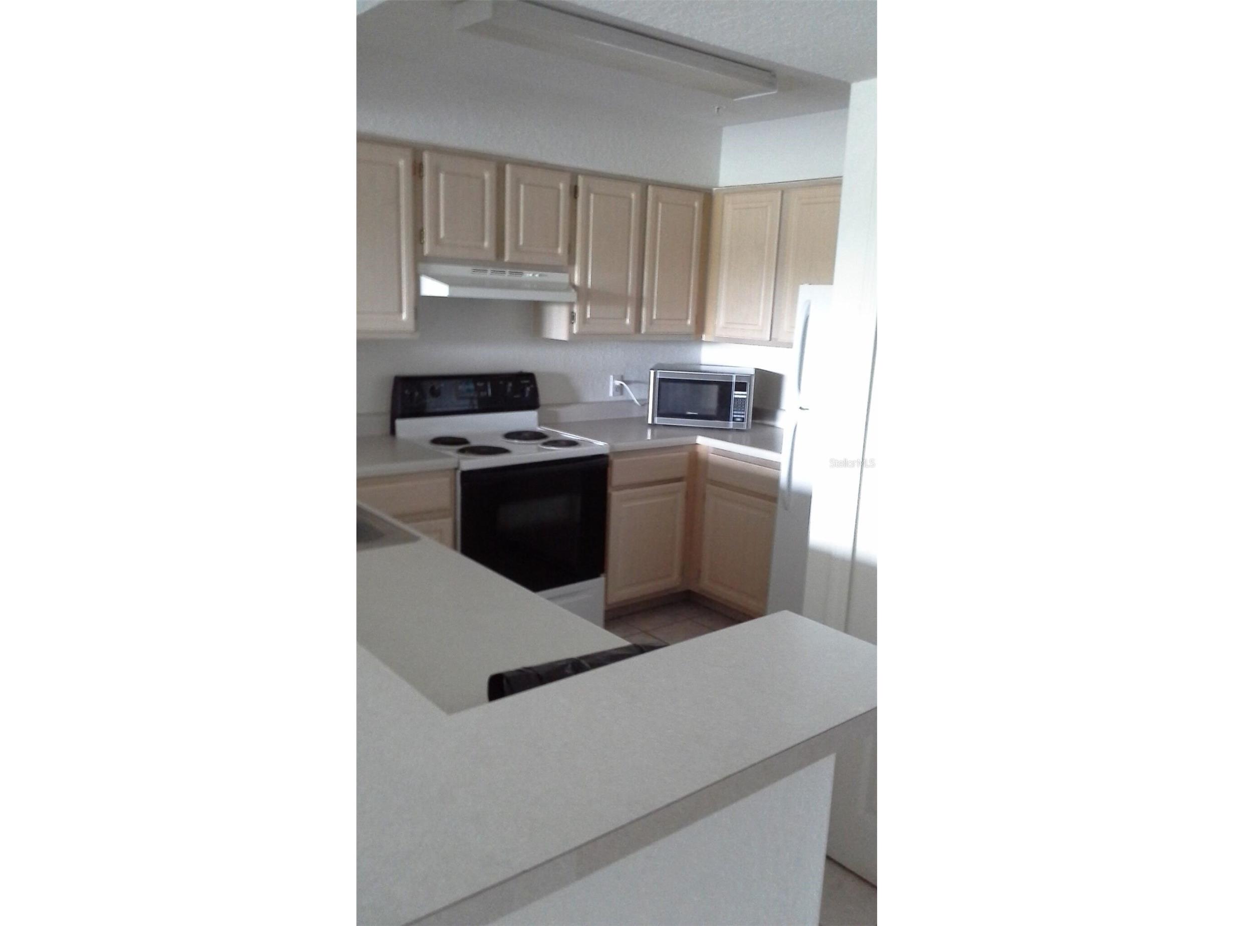 13941 Fairway Island Drive #736 Orlando FL 32837 S5145860 image2