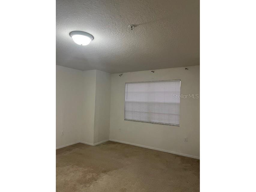 13941 Fairway Island Drive #736 Orlando FL 32837 S5145860 image20