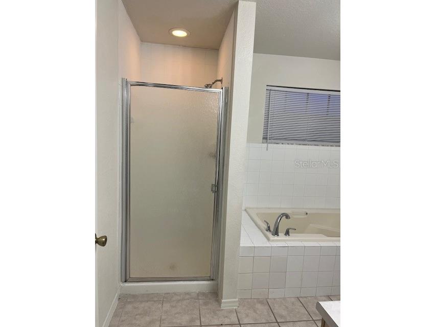 13941 Fairway Island Drive #736 Orlando FL 32837 S5145860 image25