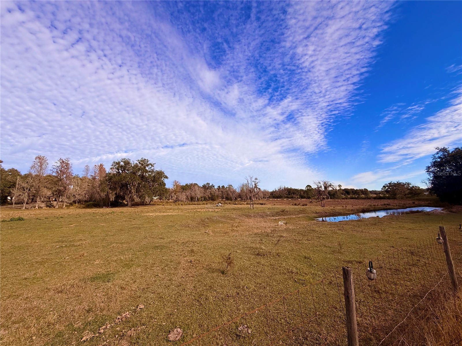 13942 Mascotte Empire Road Groveland FL 34736 G5106360 image18