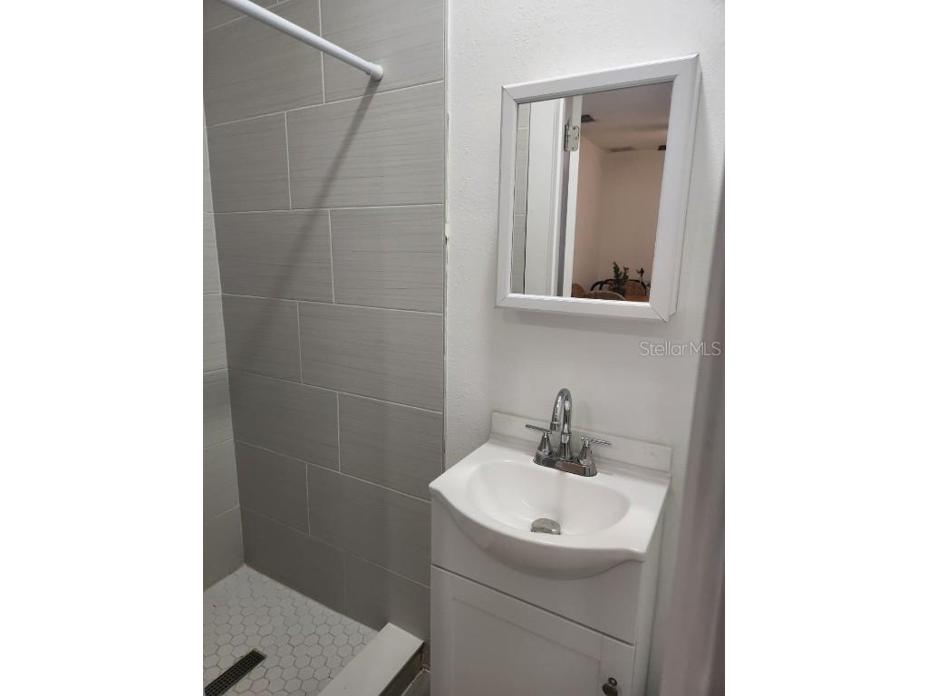 13943 Marine Drive Orlando FL 32832 - LAKE MARY JANE O6342477 image47