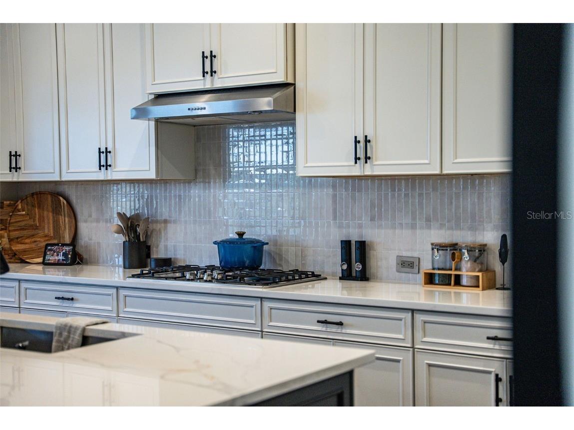 13943 Old Creek Court Parrish FL 34219 A4674252 image25