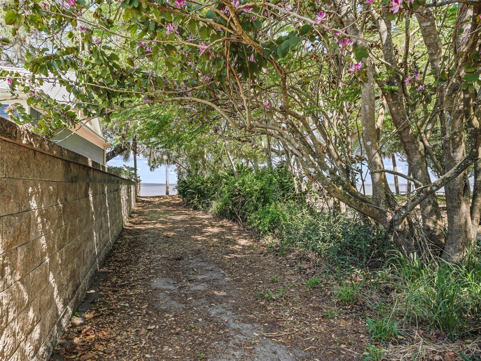 13945 SE 156th Lane Weirsdale FL 32195 - LAKE WEIR G5106087 image4