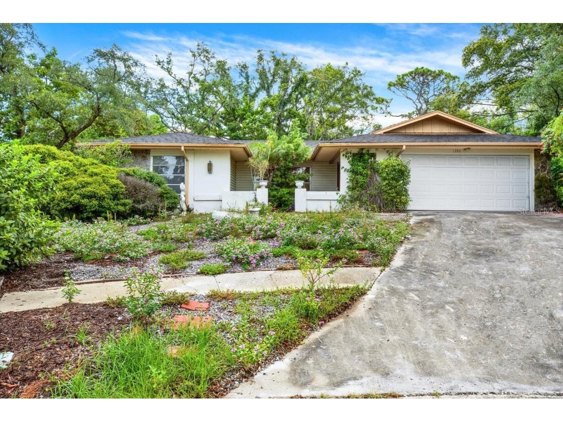 1395 Burnt Oak Street Tarpon Springs FL 34689 T3539826 image1