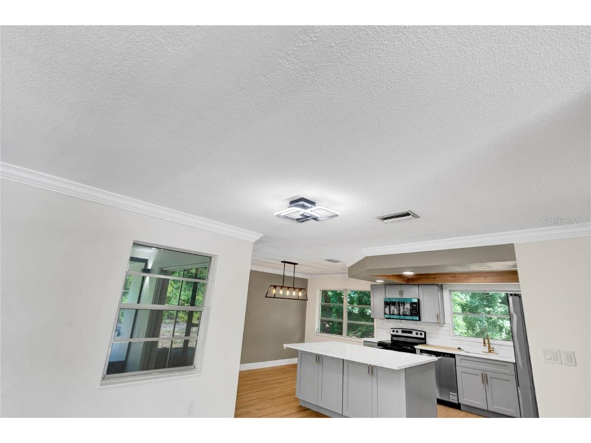 1395 Burnt Oak Street Tarpon Springs FL 34689 W7879161 image37