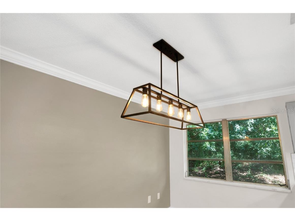 1395 Burnt Oak Street Tarpon Springs FL 34689 W7879161 image38