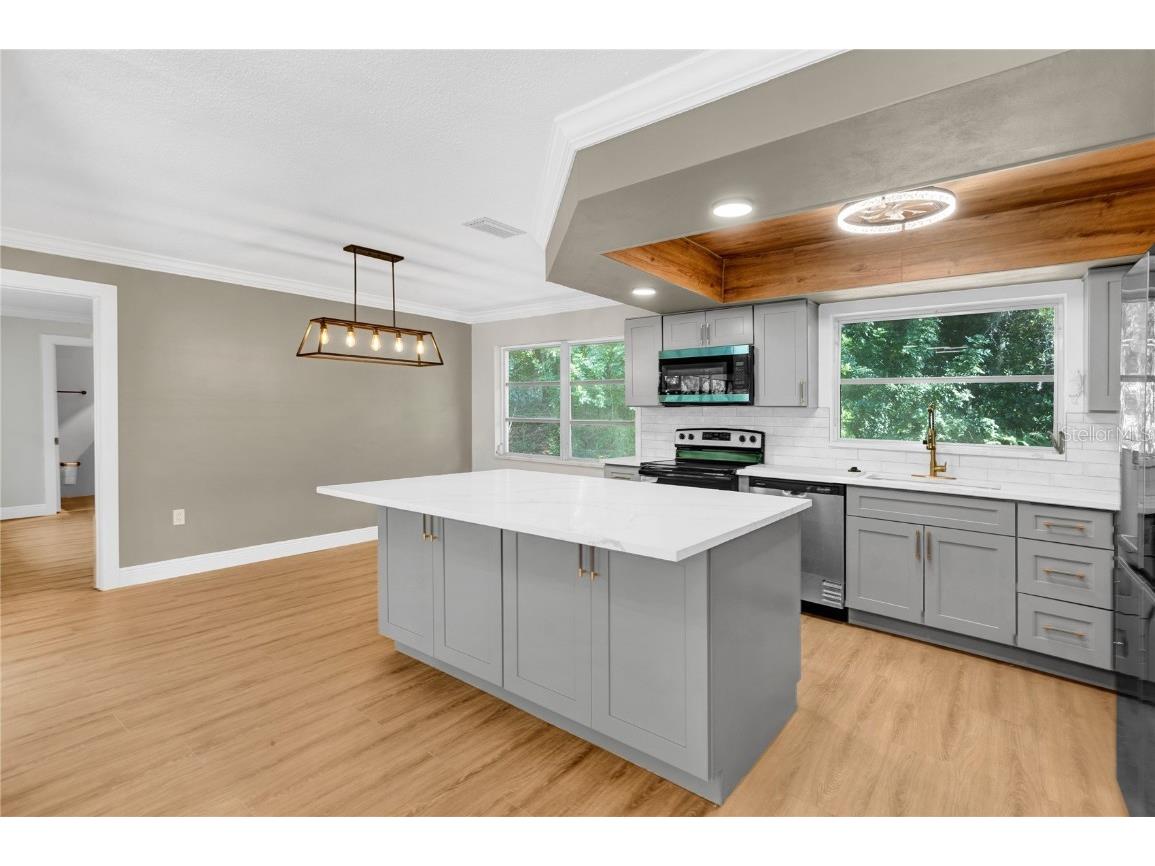 1395 Burnt Oak Street Tarpon Springs FL 34689 W7879161 image4